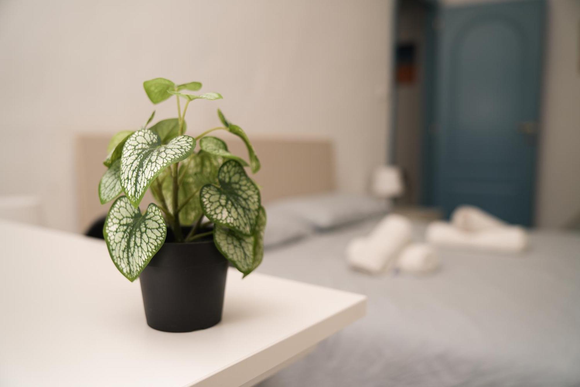 Apartmán Camyhouse Turín Exteriér fotografie